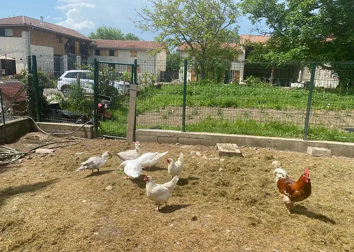 Le Grand Bleu Holiday home