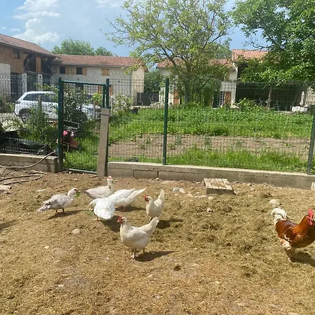 Le Grand Bleu Vakantiehuis